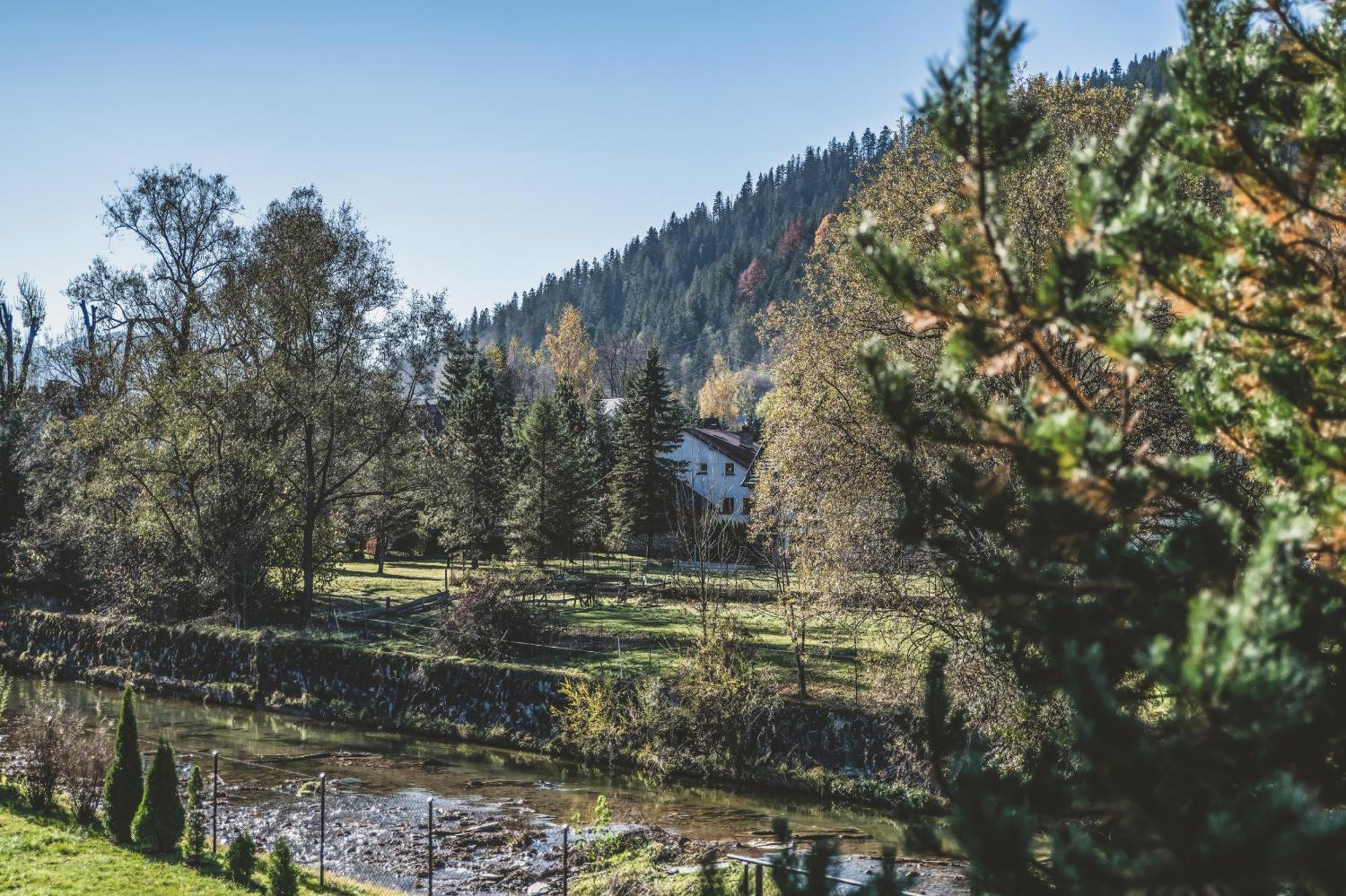 Pokoje Goscinne Na Stromej Zakopane Buitenkant foto